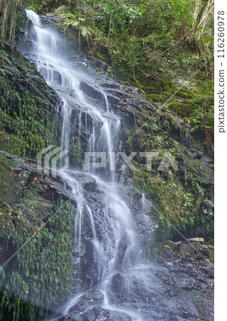 Scenery of a waterfall with clear water flowing Scenery of a waterfall with clear water flowing 116260978