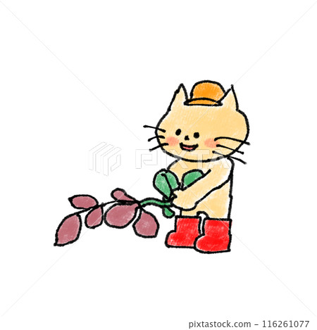 挖土豆的貓 116261077