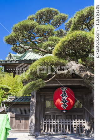 [豎照]鎌倉長谷寺 116261208