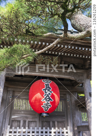 [豎照]鎌倉長谷寺 116261209