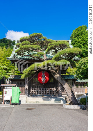 [Vertical photo] Hasedera Temple, Kamakura 116261213
