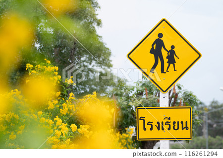 School zone sign in Thai language.school zone sign in green nature. School zone sign in Thai language.school zone sign in green nature. 116261294