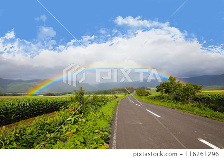 雨後的藍天和過馬路的彩虹 雨後的藍天和過馬路的彩虹 116261296
