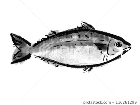 Hand-drawn Japanese-style brush illustration of mackerel fish, facing right Hand-drawn Japanese-style brush illustration of mackerel fish, facing right 116261299