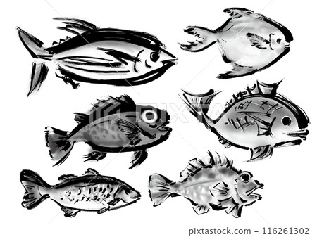 A collection of various hand-drawn fishes. Japanese-style brush-drawn fish set. Right-facing. A collection of various hand-drawn fishes. Japanese-style brush-drawn fish set. Right-facing. 116261302