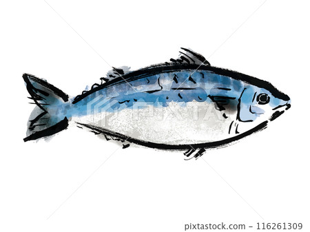 Hand-drawn Japanese-style brush illustration of mackerel fish, facing right 116261309
