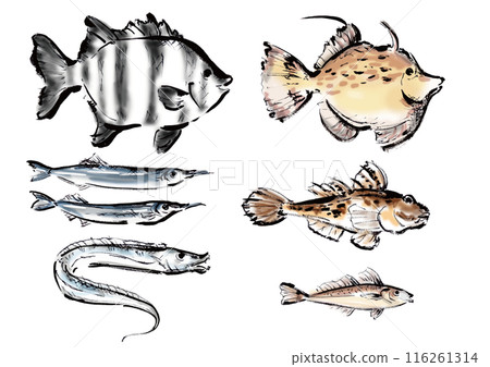 各種手繪魚合集,日式畫筆魚套裝,朝右 各種手繪魚合集,日式畫筆魚套裝,朝右 116261314