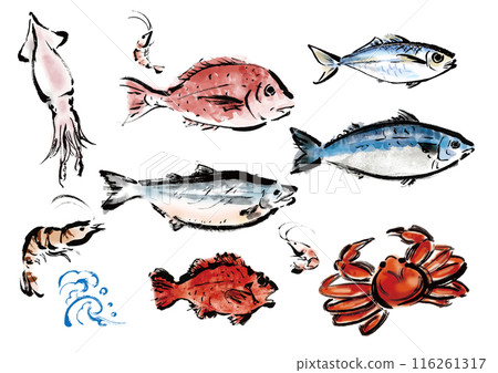 A collection of various hand-drawn fishes. Japanese-style brush-drawn fish set. Right-facing. A collection of various hand-drawn fishes. Japanese-style brush-drawn fish set. Right-facing. 116261317