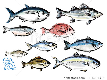 A collection of various hand-drawn fishes. Japanese-style brush-drawn fish set. Right-facing. A collection of various hand-drawn fishes. Japanese-style brush-drawn fish set. Right-facing. 116261318