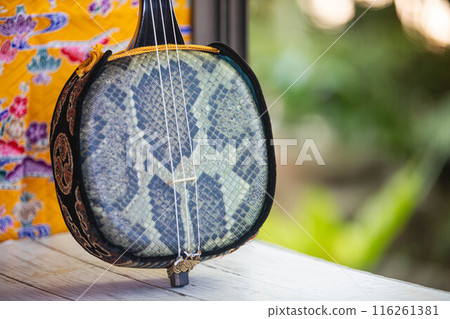 Okinawan sanshin by the window Okinawan sanshin by the window 116261381