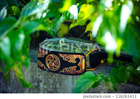 Okinawan sanshin in the greenery Okinawan sanshin in the greenery 116261411