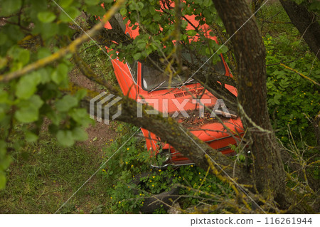 an abandoned red old car stands on an abandoned area overgrown with bushes an abandoned red old car stands on an abandoned area overgrown with bushes 116261944