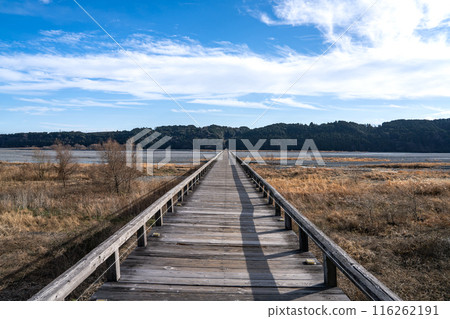 晴空萬裡的蓬萊橋（靜岡縣） 116262191
