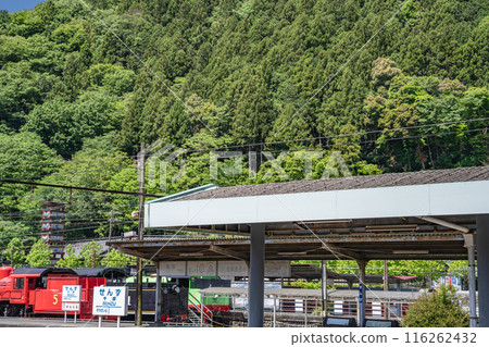 大井川鐵道千頭月台的風景（靜岡縣） 116262432