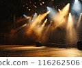 Free stage with lights, Free scene with multi colored lighting equipment. 116262506