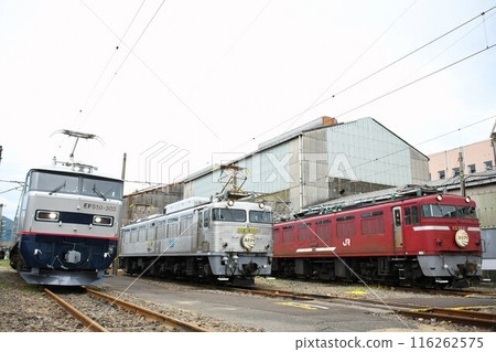 Kyushu's main locomotives lined up at a depot 116262575
