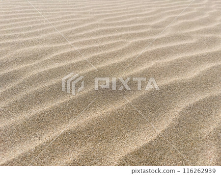 Sand ripples appearing on the beach 116262939