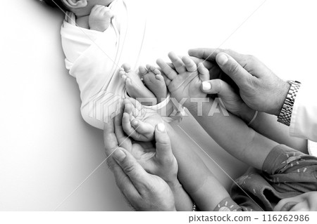The palms of the father, the mother are holding the foot of the newborn baby on white background. Feet of the newborn on the palms of the parents. Photography of a child's toes, heels and feet The palms of the father, the mother are holding the foot of the newborn baby on white background. Feet of the newborn on the palms of the parents. Photography of a child's toes, heels and feet 116262986