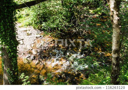 一條岩石山間溪流蜿蜒穿過南威爾斯的森林,通往蘇格德氏族-格溫瀑布。 一條岩石山間溪流蜿蜒穿過南威爾斯的森林,通往蘇格德氏族-格溫瀑布。 116263120