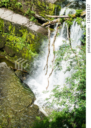 蘇格德氏族格溫瀑布 (Sugd Clan-Gwyn Waterfall) 是南威爾斯的一個瀑布，周圍環繞著樹木和綠地。 116263137