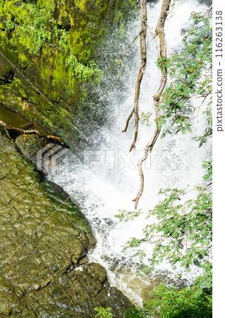 蘇格德氏族格溫瀑布 (Sugd Clan-Gwyn Waterfall) 是南威爾斯的一個瀑布,周圍環繞著樹木和綠地。 蘇格德氏族格溫瀑布 (Sugd Clan-Gwyn Waterfall) 是南威爾斯的一個瀑布,周圍環繞著樹木和綠地。 116263138