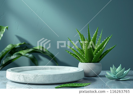 3D rendering of a white podium on an aloe vera. simple background banner design. 116263765