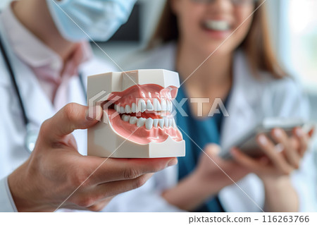 Dentist holds dental model and shows patient how to care for white teeth in clinic. 116263766
