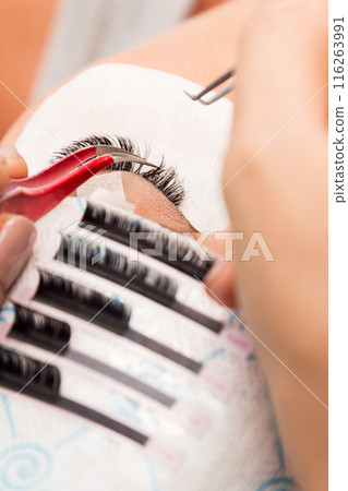 Procedure of eyelashes extension in beauty salon Procedure of eyelashes extension in beauty salon 116263991