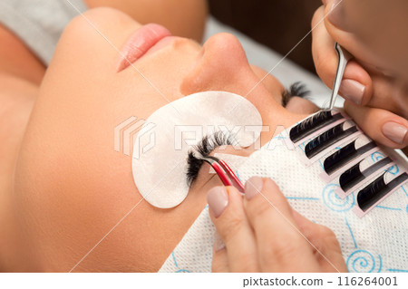 Procedure of eyelashes extension in beauty salon Procedure of eyelashes extension in beauty salon 116264001