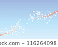 Background of snow and branches like small flowers 116264098