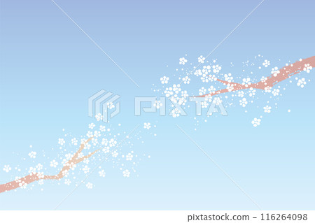 Background of snow and branches like small flowers 116264098