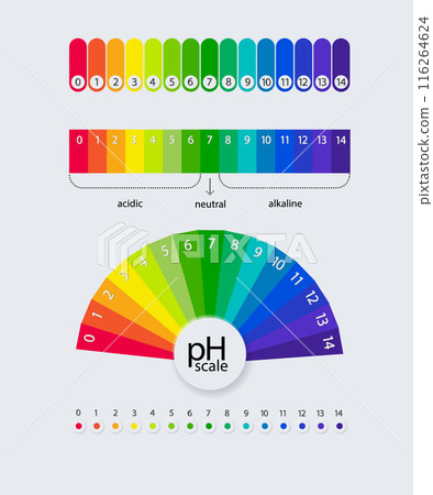 pH scale chart for acid and alkaline solutions. Acid-base balance infographic. Vector 116264624