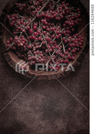 Shtoshi berry, Shepherd's pie, a hybrid of sea buckthorn and barberry, top view, no people, 116264688