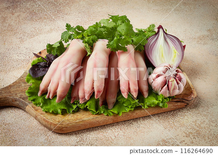 raw, pig's feet, young piglet, piglet's hooves, raw, pig's feet, young piglet, piglet's hooves, 116264690