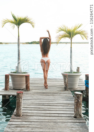 Beautiful in the bikini on the wooden pier 116264771