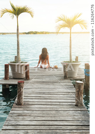 Beautiful in the bikini on the wooden pier Beautiful in the bikini on the wooden pier 116264776