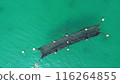 Stationary net 116264855