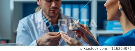 Dentist holds dental model and shows patient how to care for white teeth in clinic. 116264975