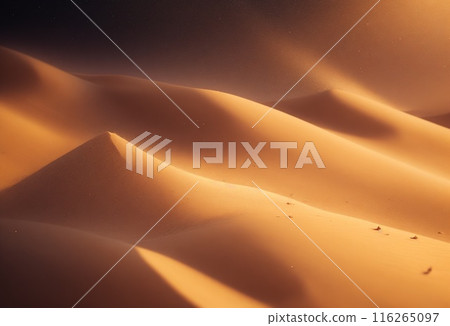 sunset in the desert sunset in the desert 116265097