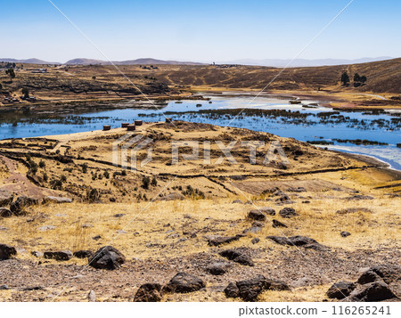 Sillustani archeological site with arid lands and lagoon populated by flamingos, Puno region, Peru 116265241