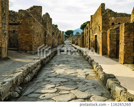 Stone alley in the ancient city of Pompeii with ruins of old buildings on both sides, Naples, Italy 116265260