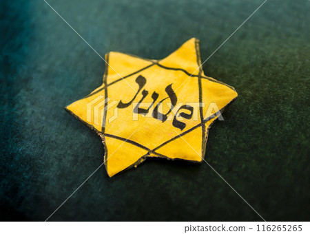 Yellow Star of David outlined in black with German word for "Jew" written in Hebrew style on canvas 116265265