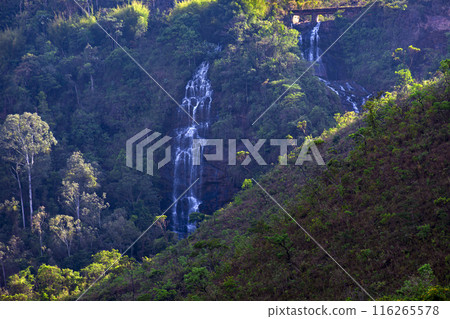Waterfalls among the vegetation Waterfalls among the vegetation 116265578