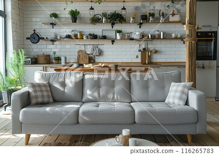 Selective focus of modern living room interior with gray sofa in apartment room. 116265783