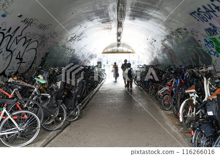 Tunnel and bicycle parking area in Shibuya, Japan 116266016