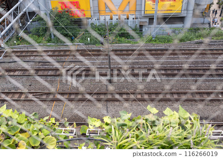 透過柵欄看到的鐵軌 116266019