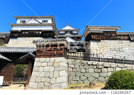 [愛媛縣]松山城（現存天守閣12座） 116266267