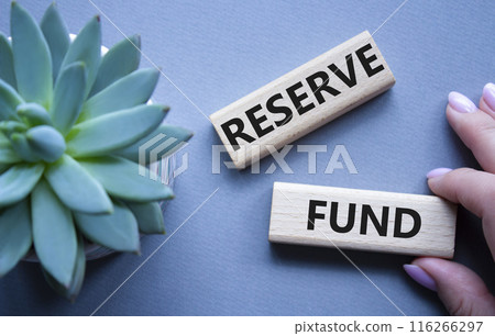 Reserve Fund symbol. Concept word Reserve Fund on wooden blocks. Beautiful grey background with succulent plant. Businessman hand. Business and Reserve Fund concept. Copy space 116266297