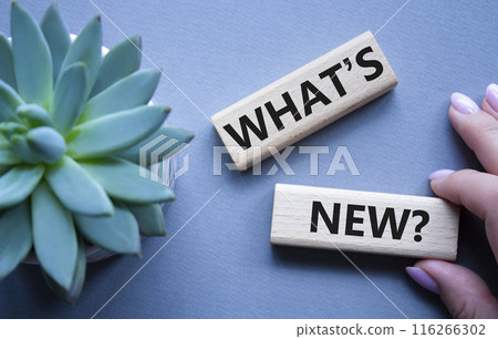 What is new symbol. Concept word What is new on wooden blocks. Businessman hand. Beautiful grey background with succulent plant. Business and What is new concept. Copy space What is new symbol. Concept word What is new on wooden blocks. Businessman hand. Beautiful grey background with succulent plant. Business and What is new concept. Copy space 116266302
