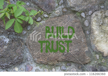 Build trust symbol. Stone wall with words Build trust. Beautiful stone background. Business and Build trust concept. Copy space. 116266360